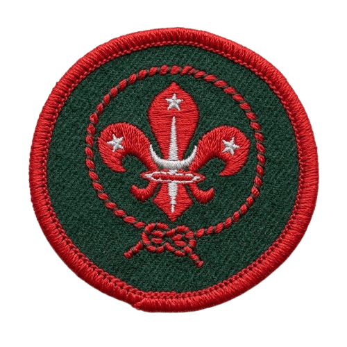 Boy Scout Section badge