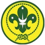 Shaheen Section badge